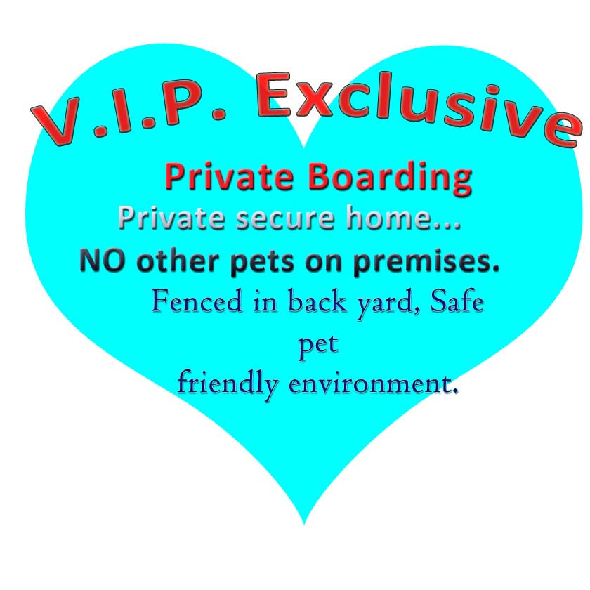 VIP exclusive 